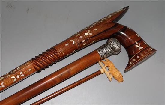 Three walking sticks